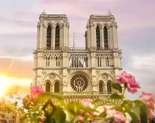 法国杯今夜走向成谜，阿贾克斯伤情更新，信心回归，数据趋势出现新变化